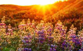 真正的关键在：91视频越用越“像”，因为观看节奏在收敛