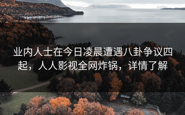 业内人士在今日凌晨遭遇八卦争议四起，人人影视全网炸锅，详情了解