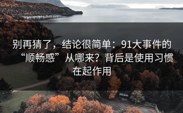 别再猜了，结论很简单：91大事件的“顺畅感”从哪来？背后是使用习惯在起作用